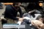 На Приморском бульваре Одессы задержали вооруженных...